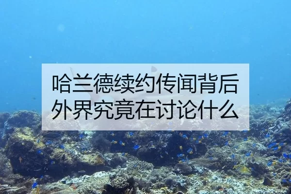 哈兰德续约传闻背后 外界究竟在讨论什么